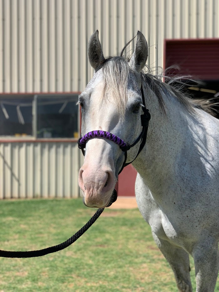 Rope Halters My Store