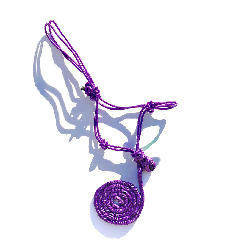 Premium Rope Halter w/ 8 foot Lead - Purple
