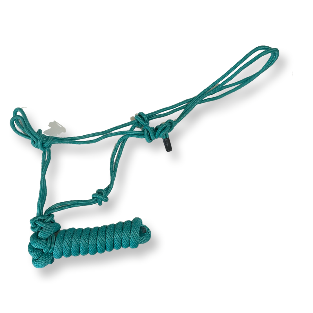 26131Rope Halter with lead