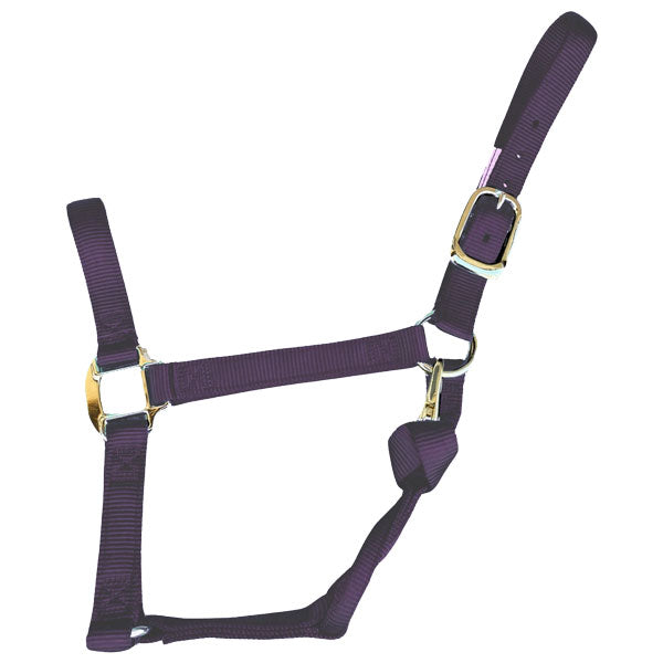 Halter Nylon with Replaceable Throat Snap Horse Size 800-1100 lbs