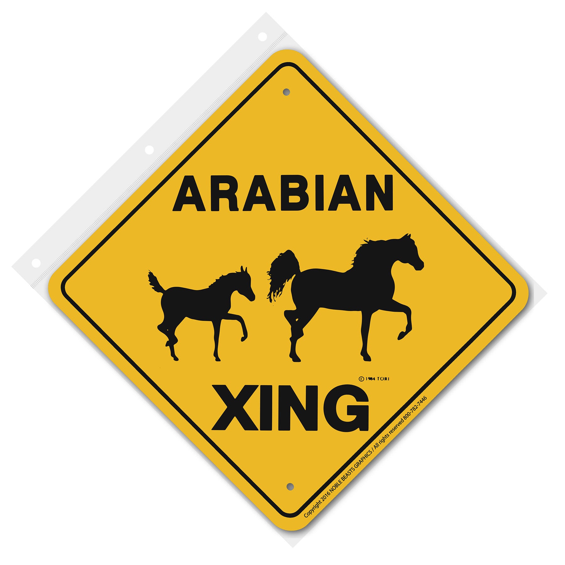 arabian xing 20306 front