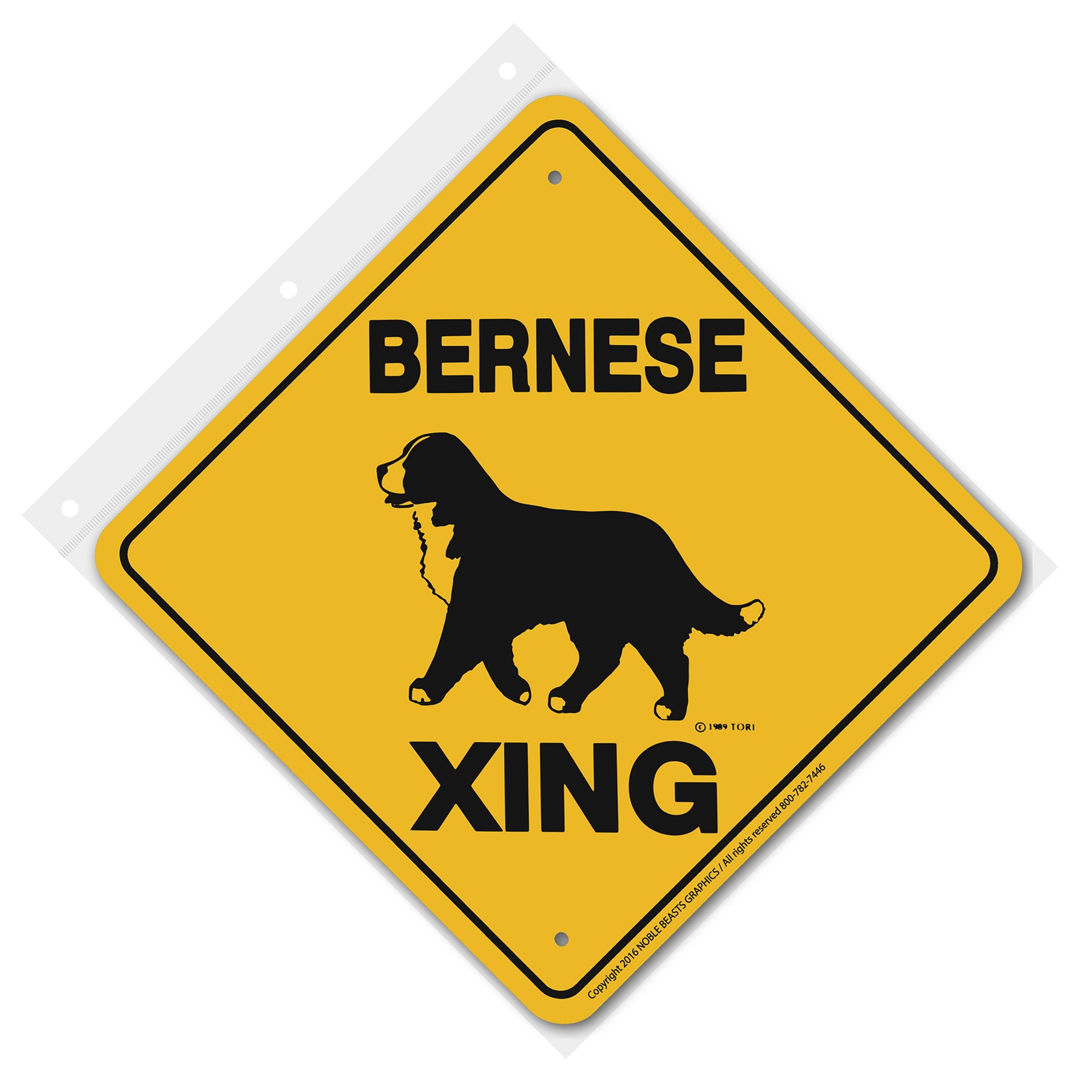 bernese mountain dog xing 20587 front