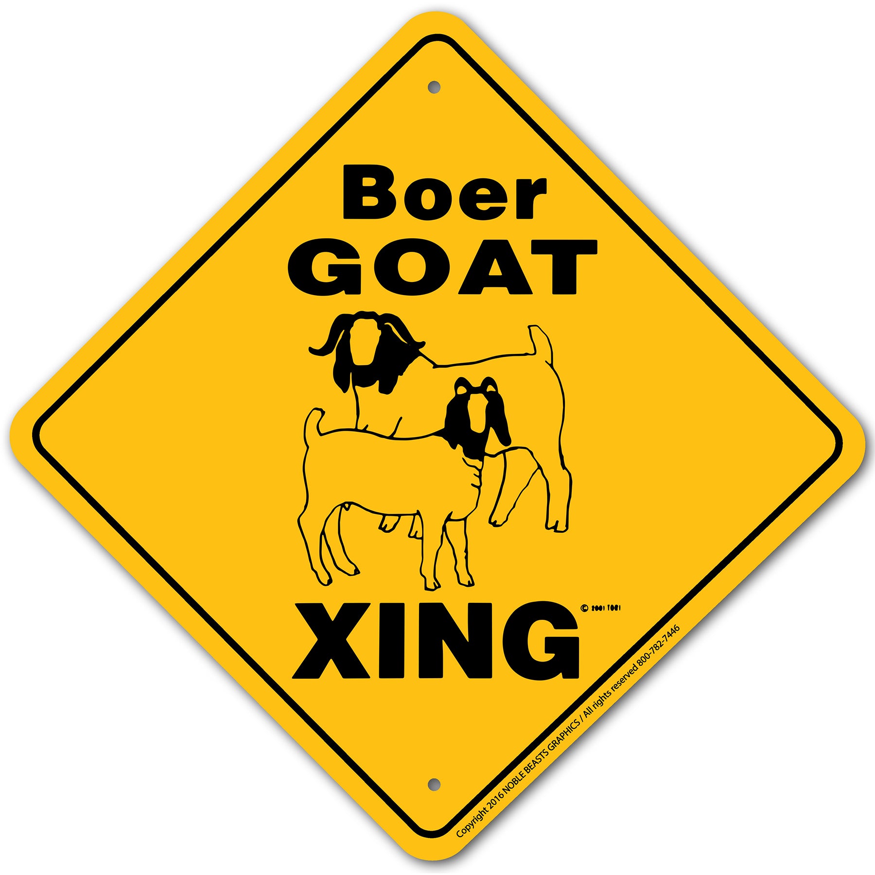 boer goat xing 20032 main
