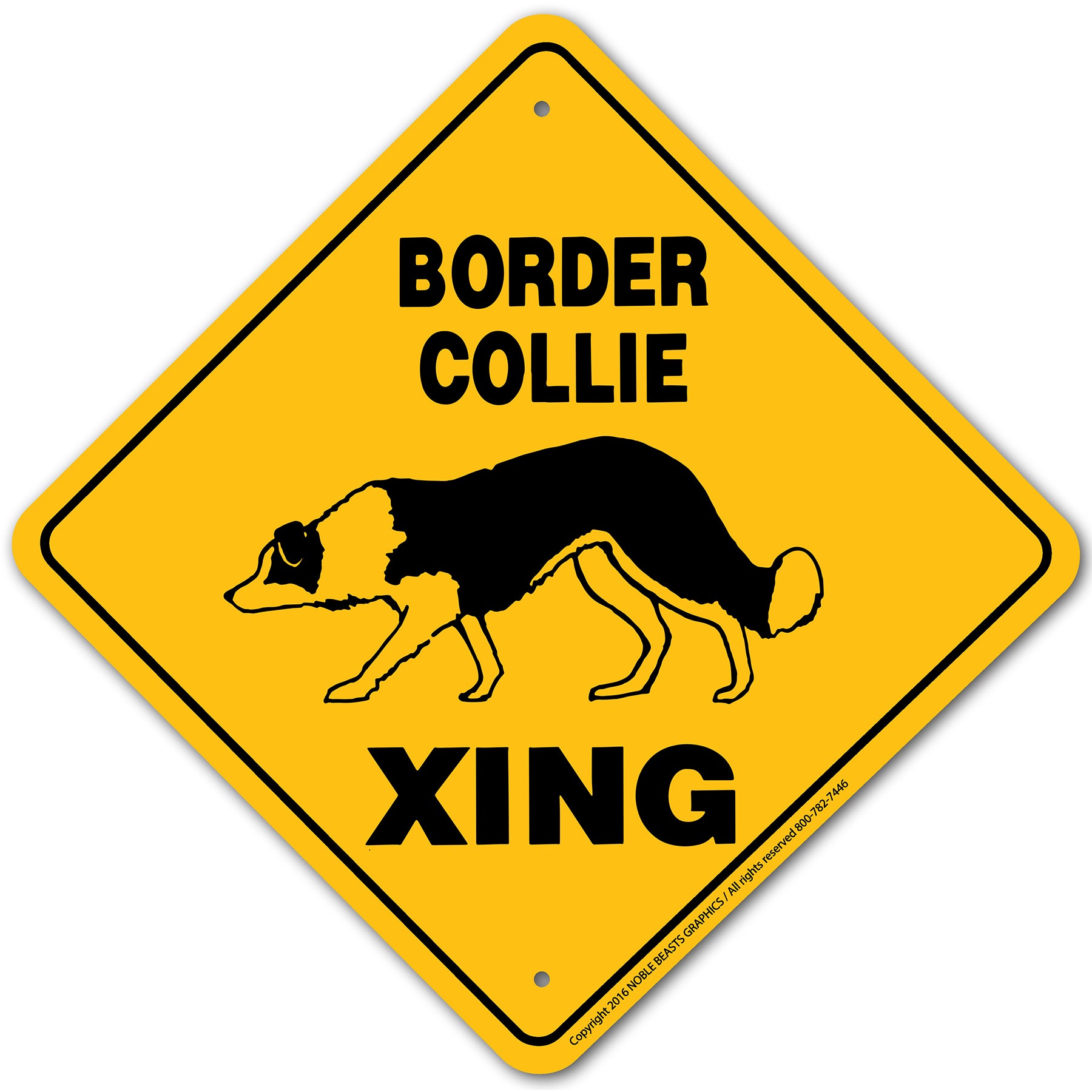 border collie xing 20585 main