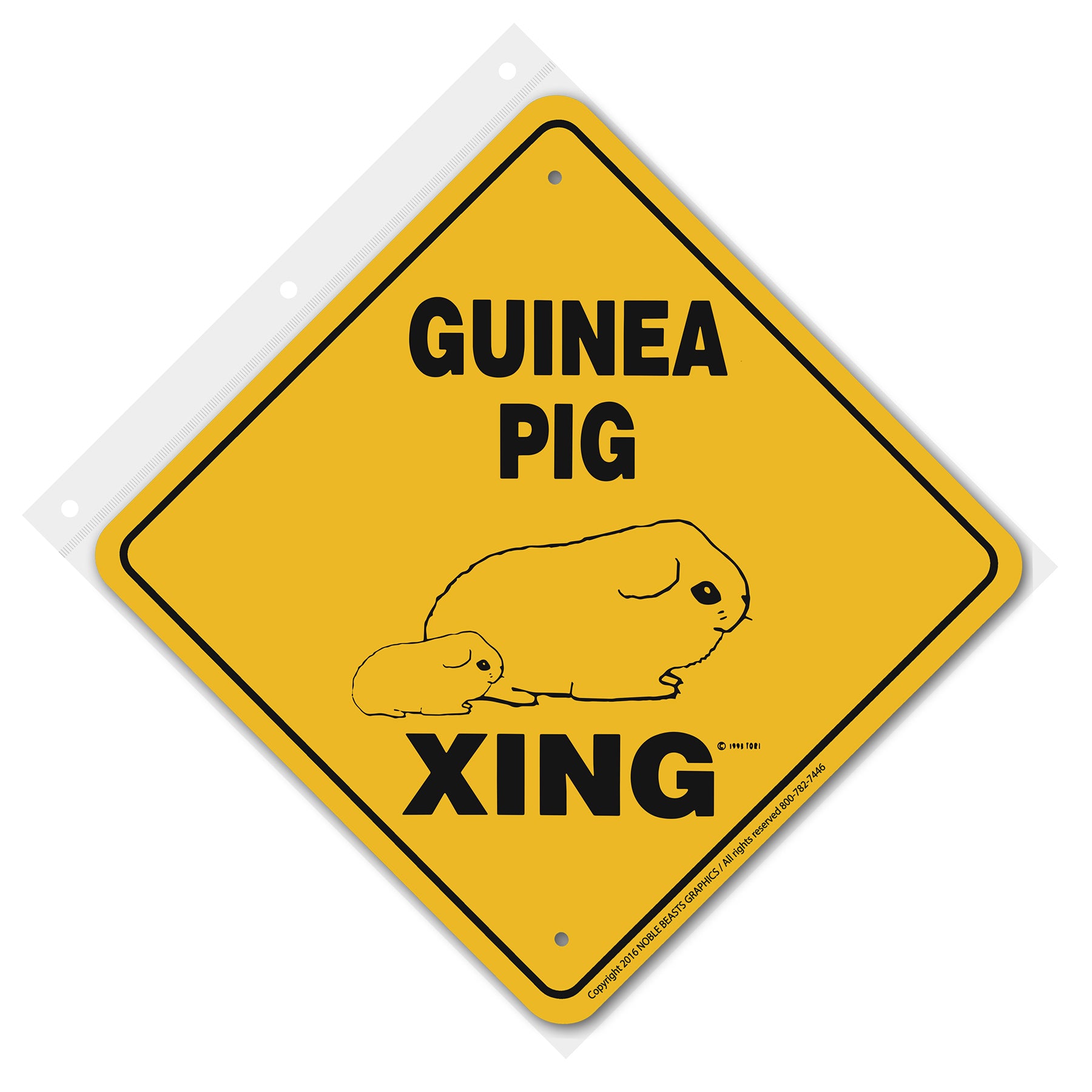 guinea pig xing 20749 front