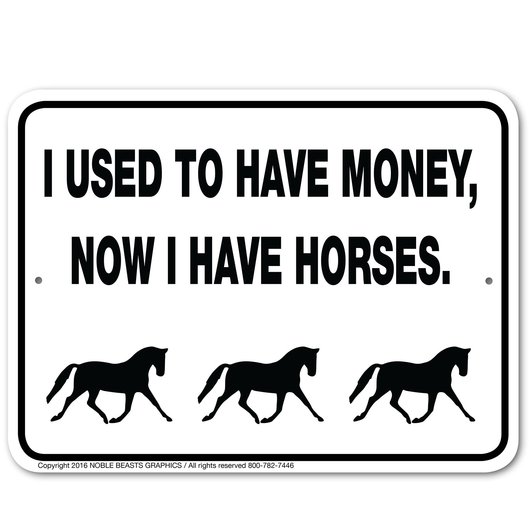 i used to have money now i have horses 9x12 3245317 main