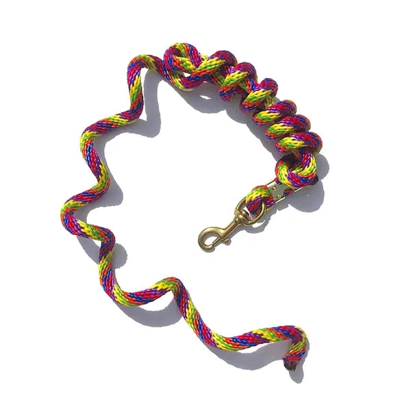 Poly Lead Rope with Brass Plated Bolt Snap Rainbow Colors