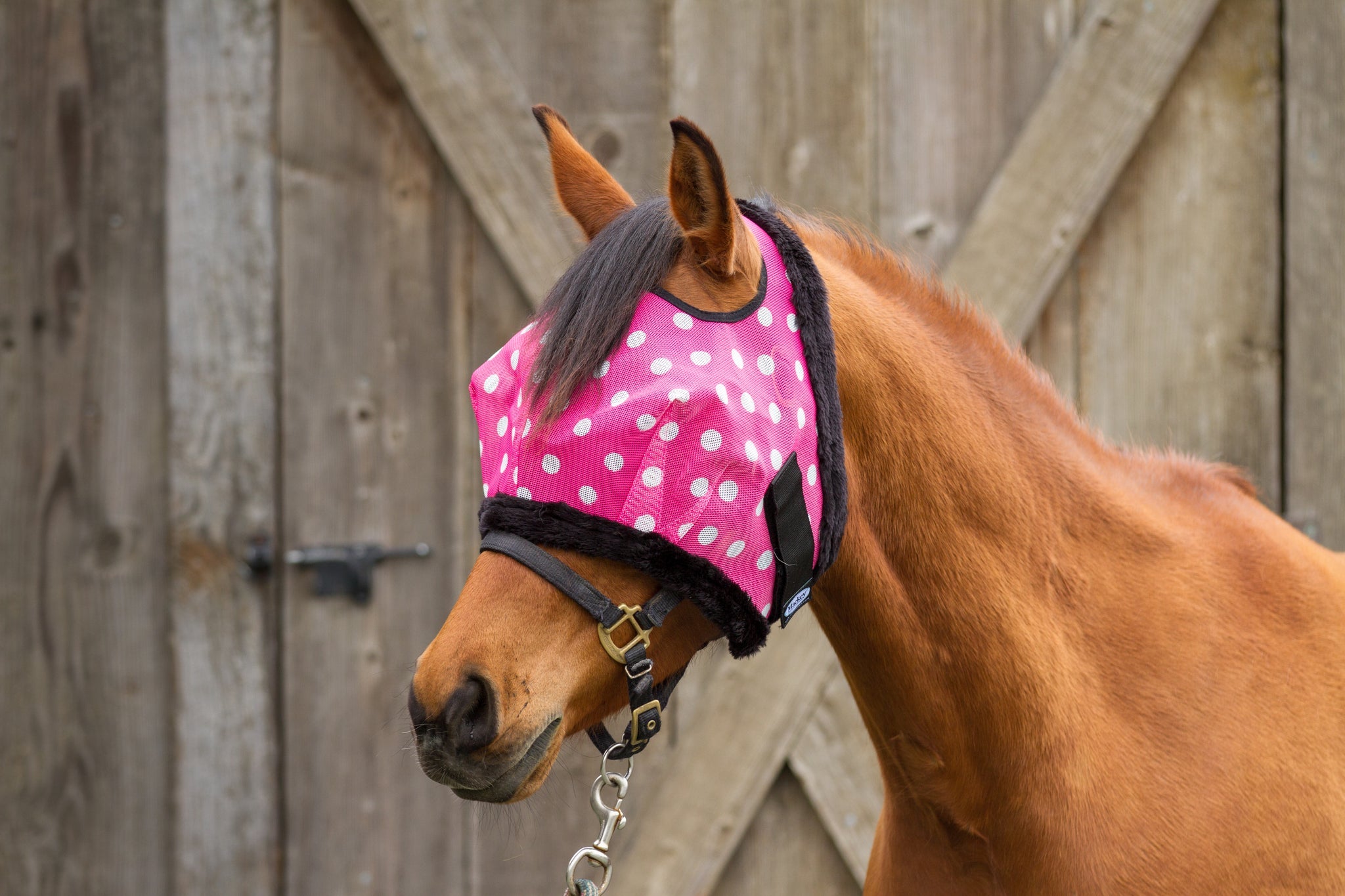 Modern Vintage Fly Mask Pink Dotty with Fleece Binding