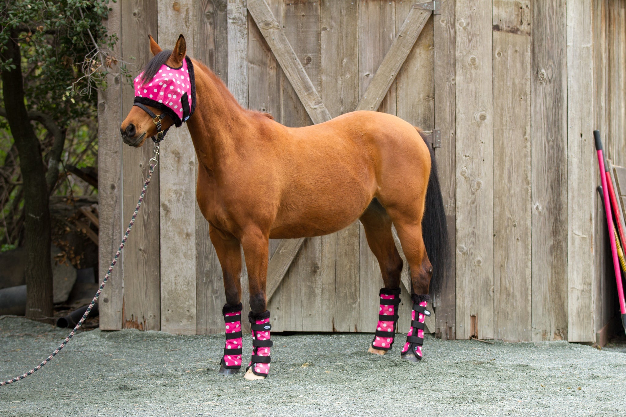 Modern Vintage Fly Mask Pink Dotty with Fleece Binding