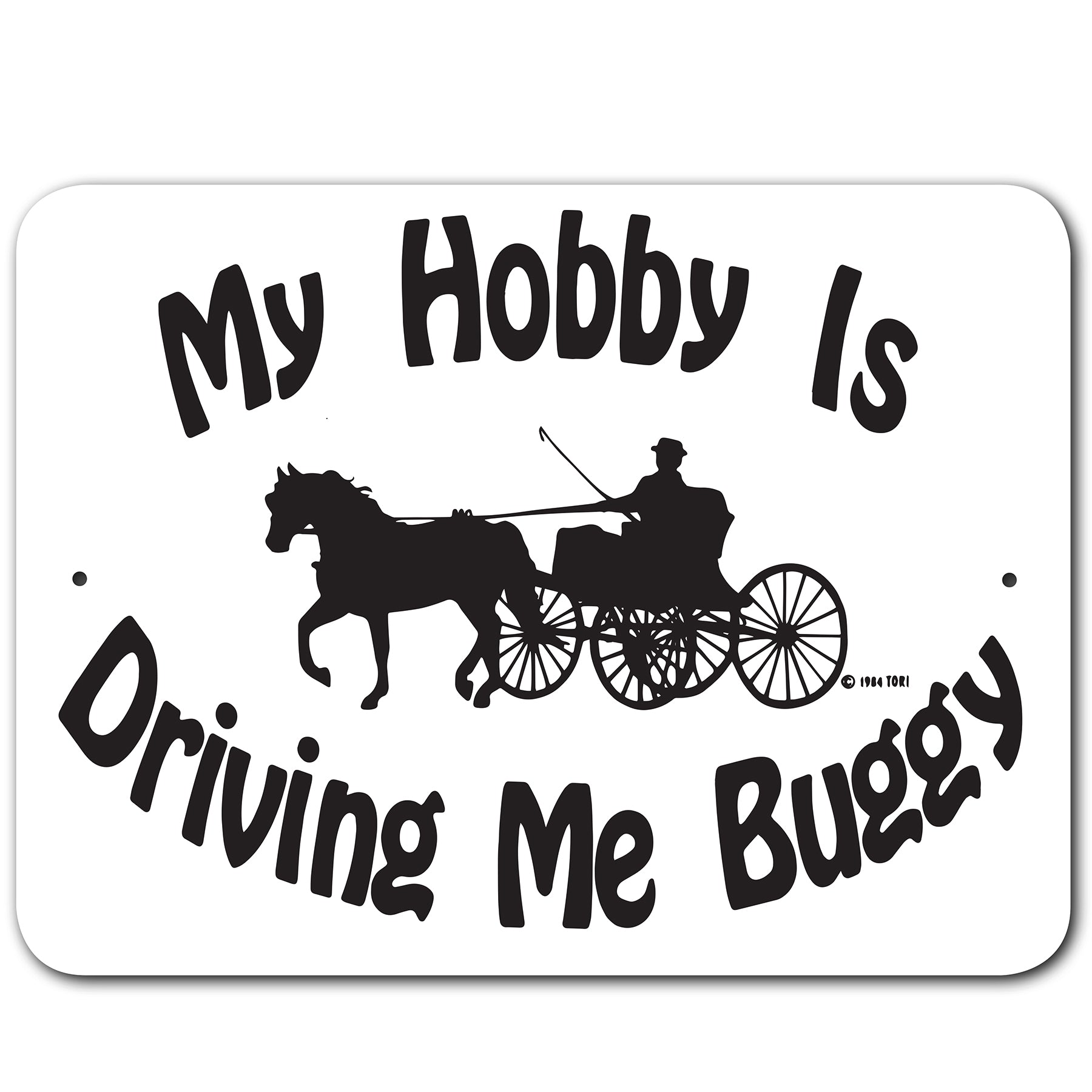 my hobby is driving me buggy 3245374 main