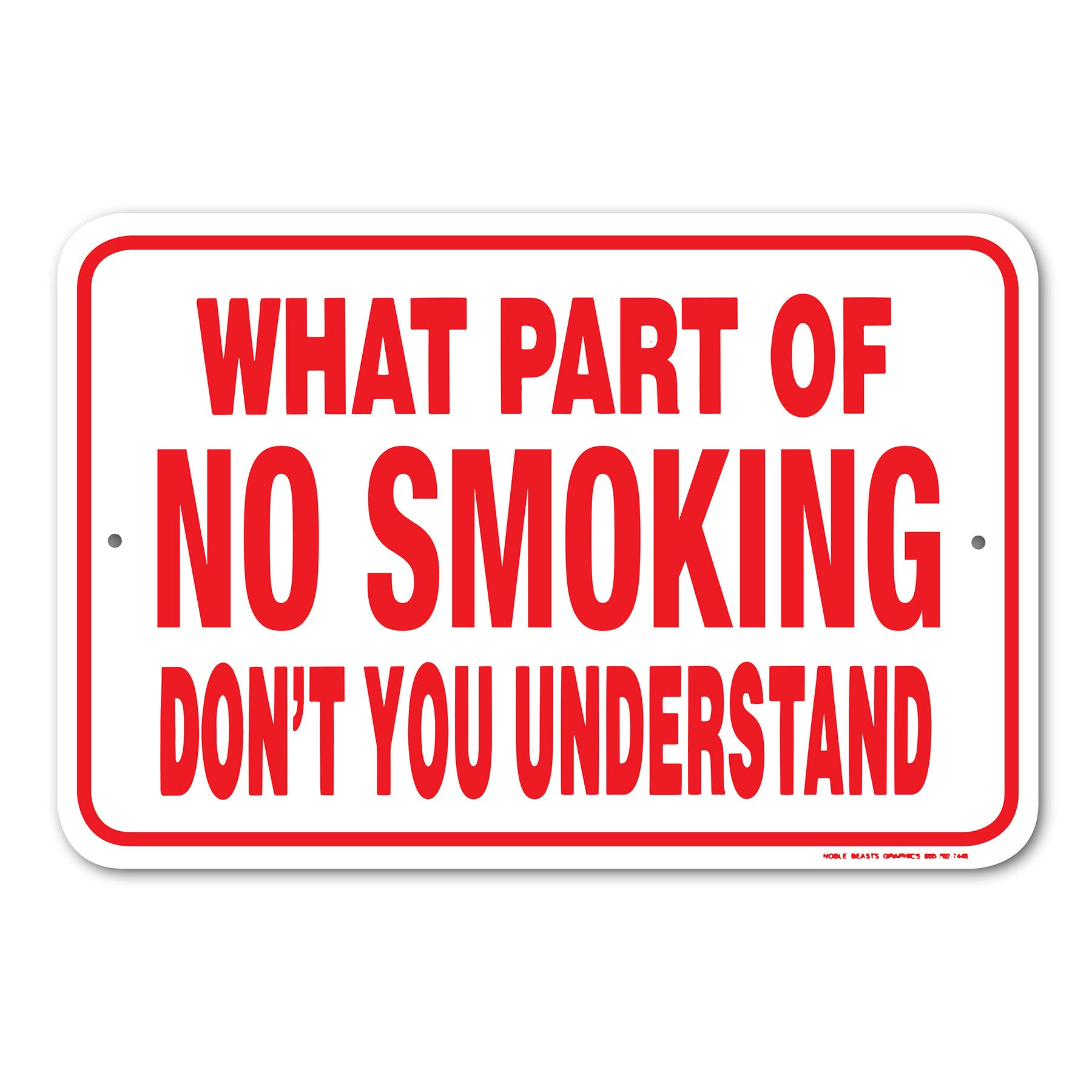 what part of no smoking don't you understand 12x18 146705 main